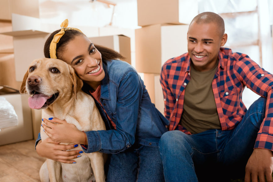 Pet-friendly apartment